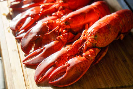 Cooked red Lobsters served on white plate ready for eatingの写真素材