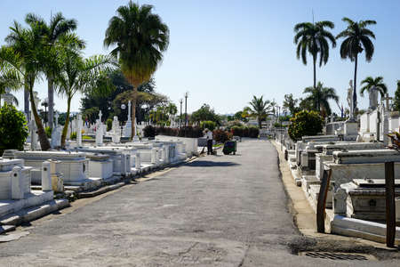 Cemetery of Santiago De Cuba decorated with beautiful white marble sarcophagi and statuesの写真素材