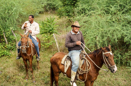 Trinidad, Cuba - January 14, 2016: Trinidad's residents still use horses for transportation. Cuba has one of lowest vehicle per capita rates in the world. In Cuba sits the local cowboys, Gaucho, in the saddle all day. They are a regular part of the local のeditorial素材
