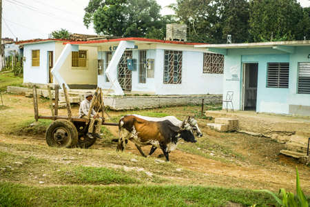Valle de los Ingenios, Trinidad, Cuba - January 14, 2016: in the village next to Slave Tower Manaca Iznaga, which is preserved from Cuba's past when slavery was legal uses the city's residents still oxcarts as the preferred vehicleのeditorial素材