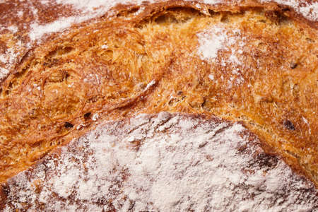 Loaf of fresh baked Organic whole wheat bread