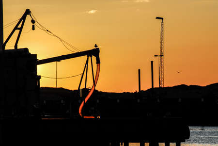 Harbor in the sunset with golden skyの写真素材