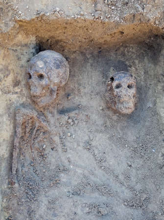 Archaeological excavation with skeletons and skulls still half buried in the groundの写真素材