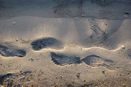 Beach side with wet footsteps after the beach guestsの写真素材