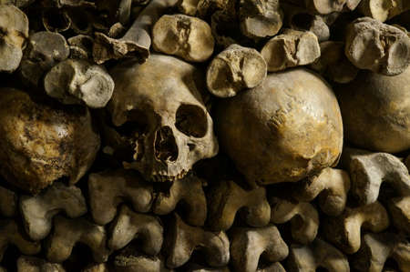 Bones, skeletons and skulls stack on top of each otherの写真素材