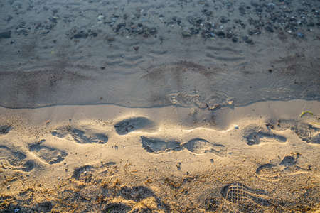 Beach side with wet footsteps after the beach guestsの写真素材