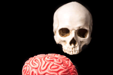 red Brain and Skull isolated on black backgroundの写真素材