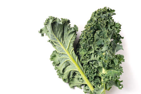 Organic healthy green Kale isolated on white backgroundの写真素材