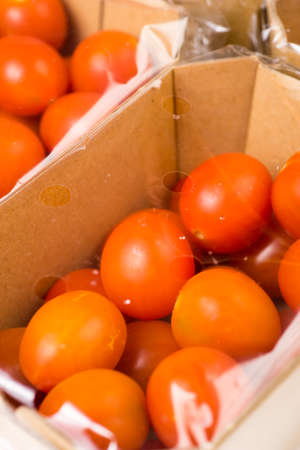 ripe cherry tomatoes packages in box and plastic close up and isolated on white backgroundの写真素材