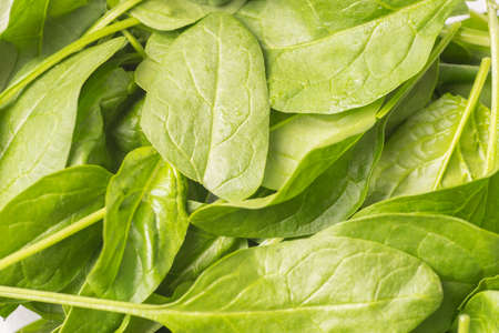 close up of organic crispy baby spinach leaves