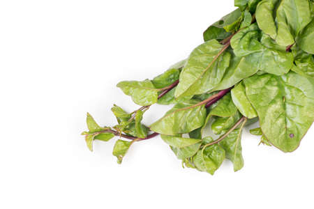 Organic Malabar Spinach isolated on white background