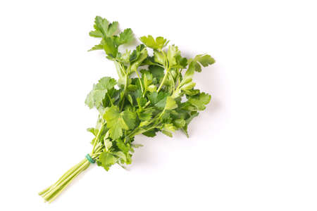 bunch of organic fresh parsley isolated on white backgroundの写真素材