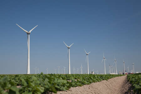 Windfarm with fresh crops and a clear blue sky