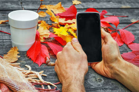 Autumn, a cup of tea, hands holding the phone, beautiful fallen leavesの写真素材
