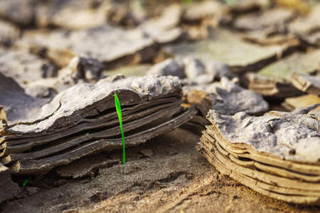 Dried and cracked earth, earth textureの写真素材