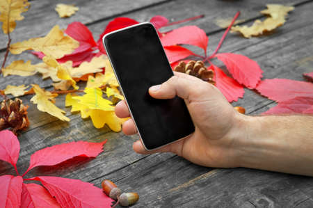 Hand holding smart phone, work outdoors in autumnの写真素材