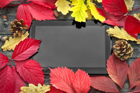 The tablet, autumn in the park, pine cones and acornsの写真素材