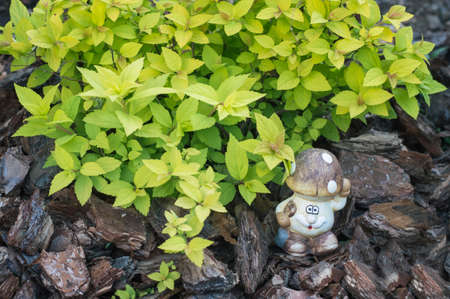 toy fungus decoration for gardenersの写真素材