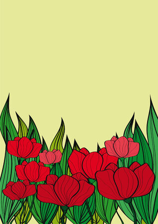 poppies backgroundのイラスト素材