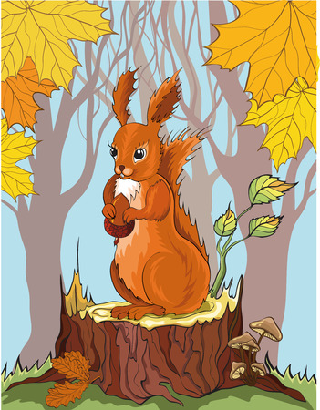 squirrel with acorn in autumn forest. No gradient.のイラスト素材