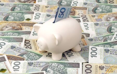 piggybank with polish moneyの写真素材