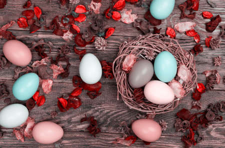 Bunch of Easter colorful eggs in bird nest on wooden background with flower petals