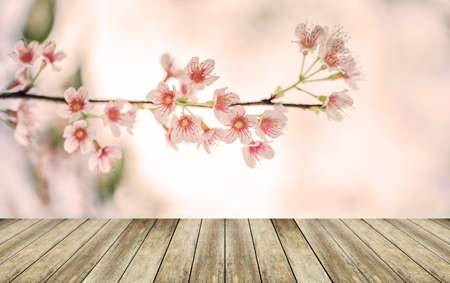 Wood table top on Flower backgroundの写真素材