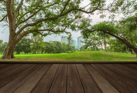 Wood table top on garden in city backgroundの写真素材