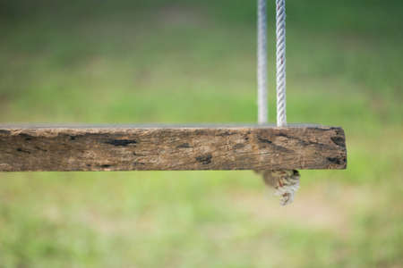 Wooden swing in playgroundの写真素材