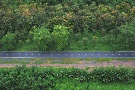Top view road on  the forestの写真素材