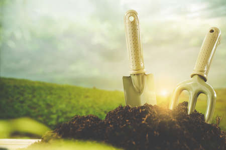 Gardening tools  on green bokeh background.