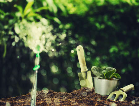 Planting a small plant on a pile of soil with Gardening tools  on green bokeh background.の写真素材