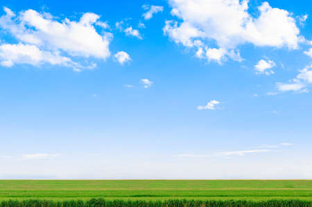 View of the meadow and the sky on cloudy daysの写真素材