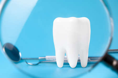 Dental model and dental equipment on Grey background, concept image of dental background.の写真素材