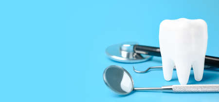 Dental model and dental equipment on Grey background, concept image of dental background.の写真素材