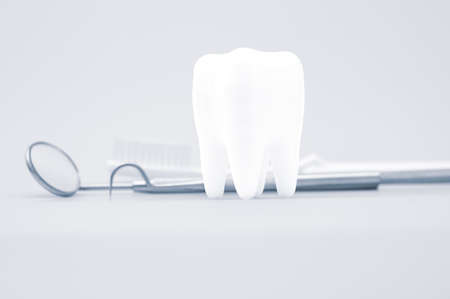 Dental model and dental equipment on Grey background, concept image of dental background.の写真素材