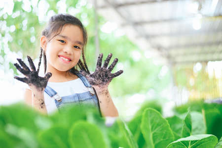 Happy cute girl with a raised hands couple picking vegetable from backyard gardenの写真素材