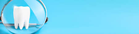 Dental model and dental equipment on blue background, concept image of dental background. panoramic banner with copy spaceの写真素材