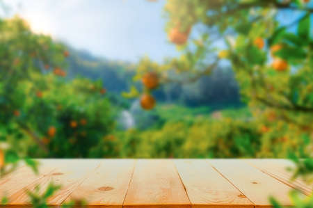 Empty wood table with free space over orange trees, orange field background. For product display montageの写真素材