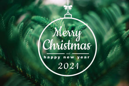 merry christmas and happy new year  text on Fir tree branch  ,Great for christmas cardsの写真素材