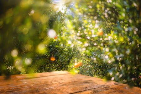 Empty wood table with free space over orange trees, orange field background. For product display montageの写真素材