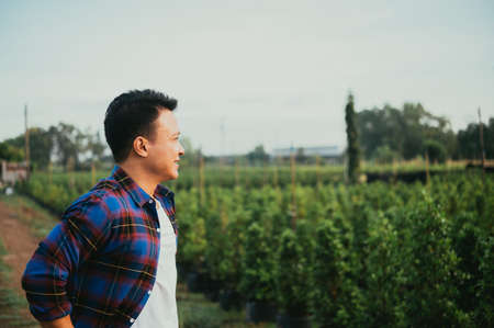 Gardener working in their garden.の写真素材