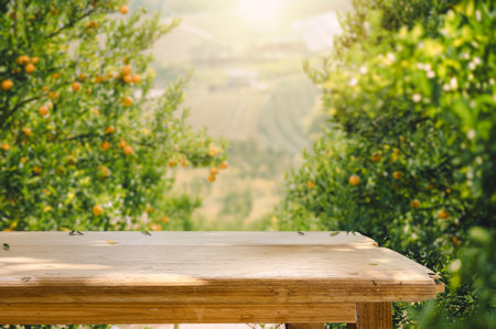 Empty wood table with free space over orange trees, orange field background. For product display montageの写真素材