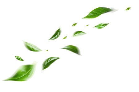 Green Floating Leaves Flying Leaves Green Leaf Dancing, Air Purifier Atmosphere Simple Main Pictureの写真素材