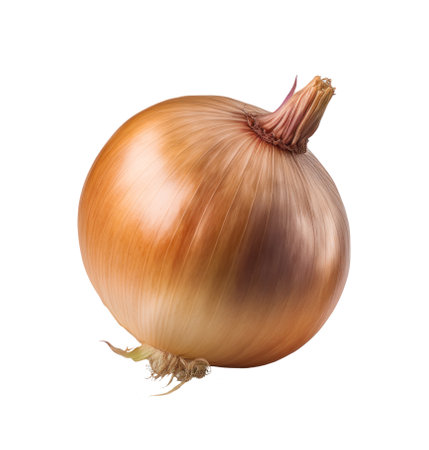 Fresh onion bulb isolated On white backgroundの写真素材