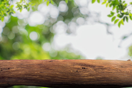 dark wooden table in front of abstract blurred background of outdoor garden lights. can be used for display or montage your products. Mock up for display of productの写真素材