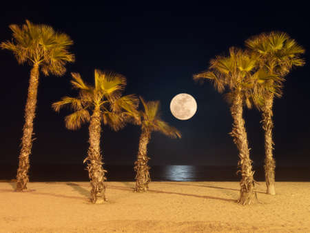 moon night 