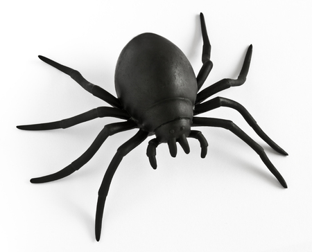 Black rubber spider toyの写真素材