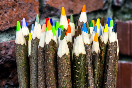 Colored pencils made of willow sticksの写真素材