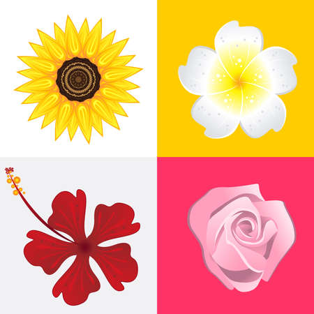 Blossom Of Rose, Jasmine, Sunflower And Hibiscus Flower. のイラスト素材